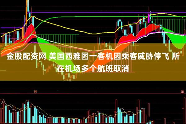 金股配资网 美国西雅图一客机因乘客威胁停飞 所在机场多个航班取消