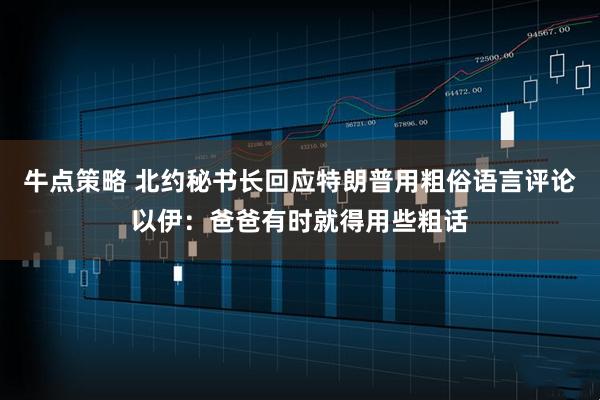 牛点策略 北约秘书长回应特朗普用粗俗语言评论以伊：爸爸有时就得用些粗话
